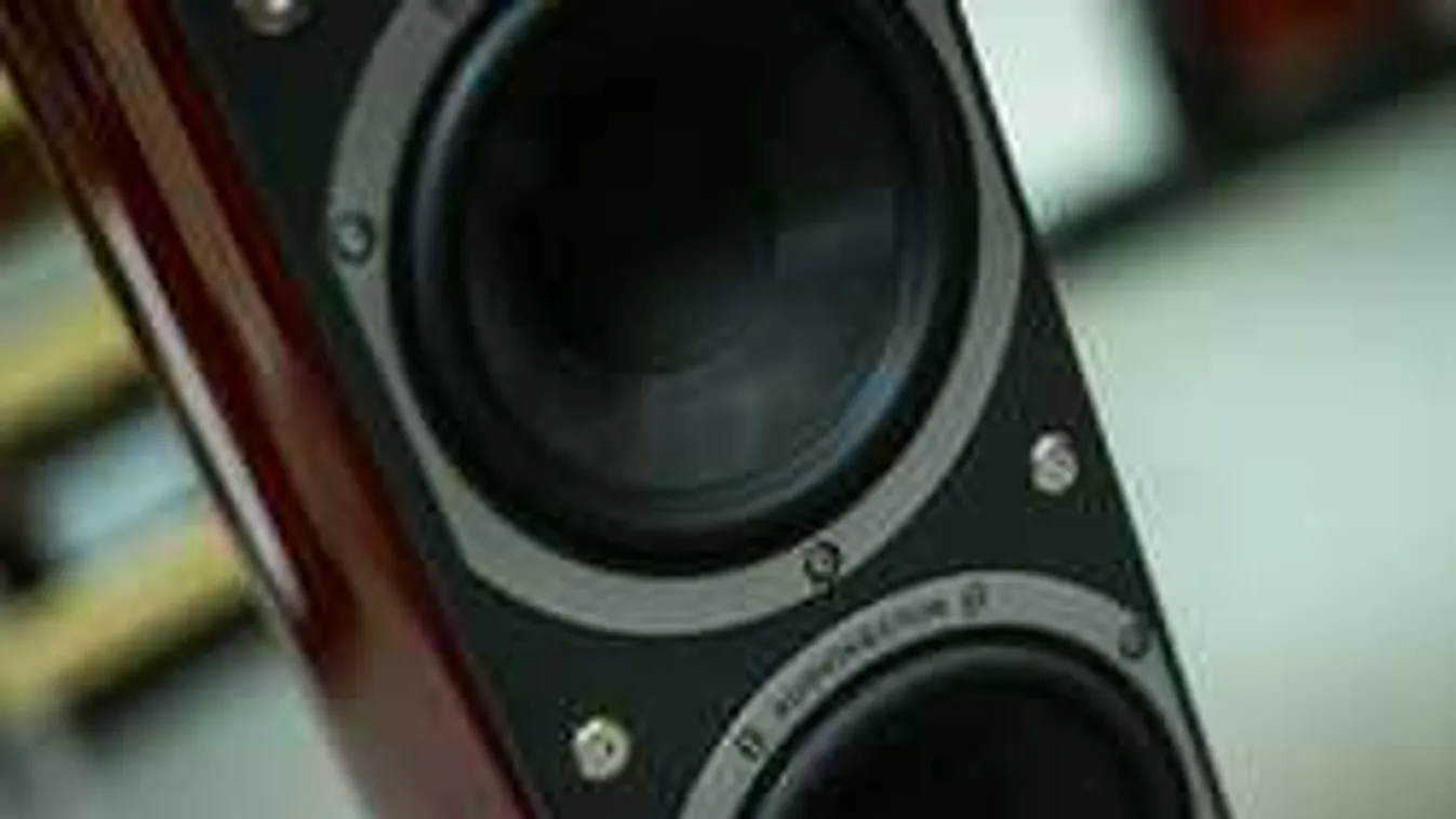 Nem hiszel a fülednek, erre a számra huncutkodnak az ausztrálok