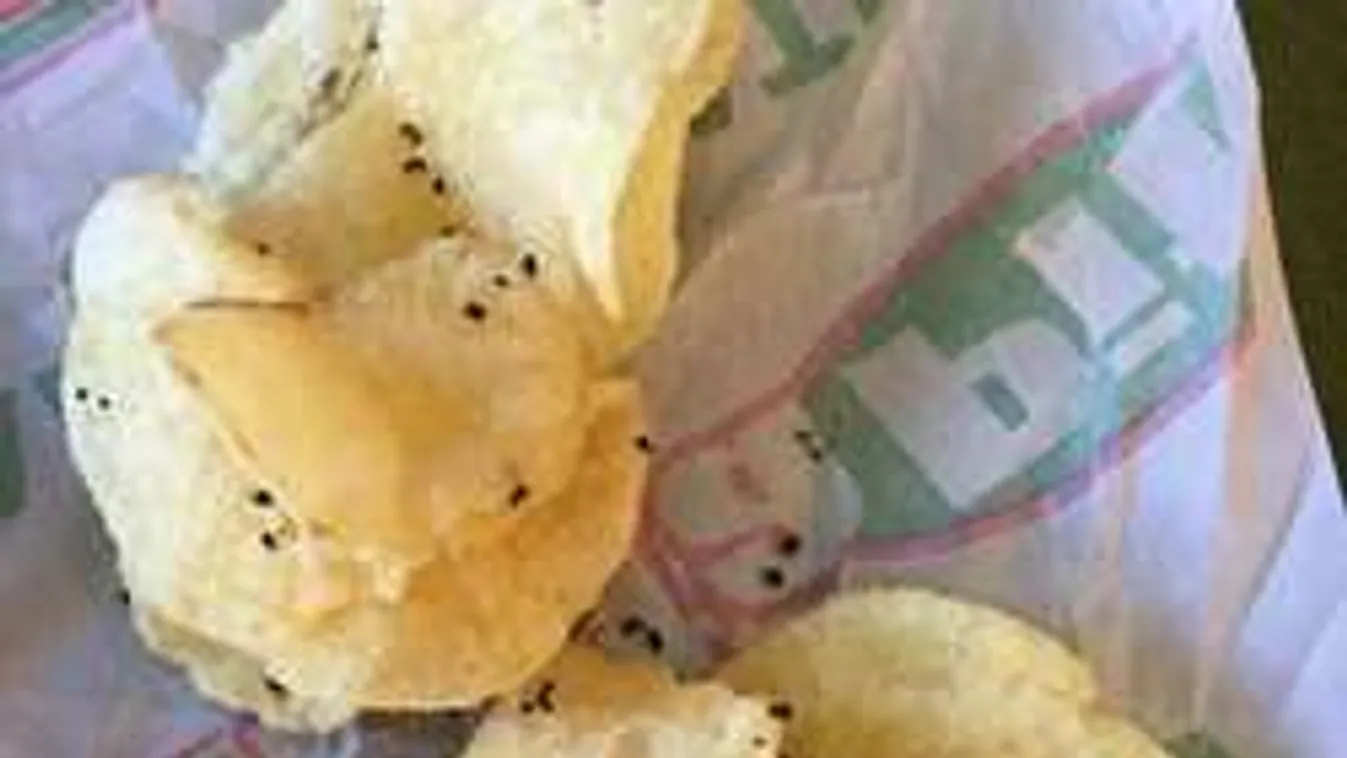 Borsnak nézte a döglött hangyákat a chipsén