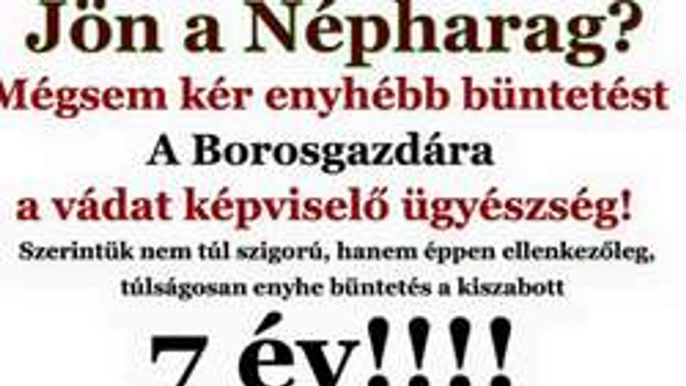 Halálos fenyegetést kapott a fagyállós gazda ügyét tárgyaló bírónő!