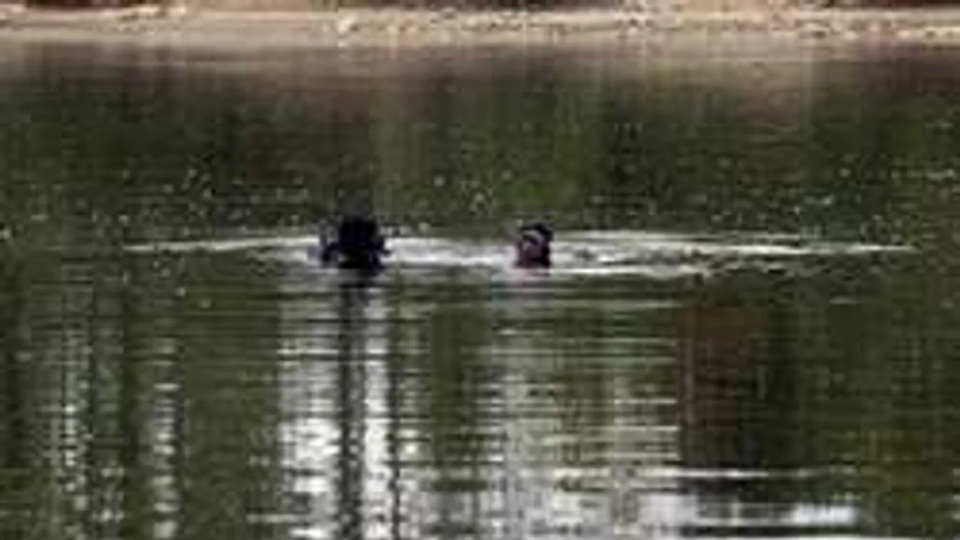 Megtalálták a tóba esett fiú holttestét