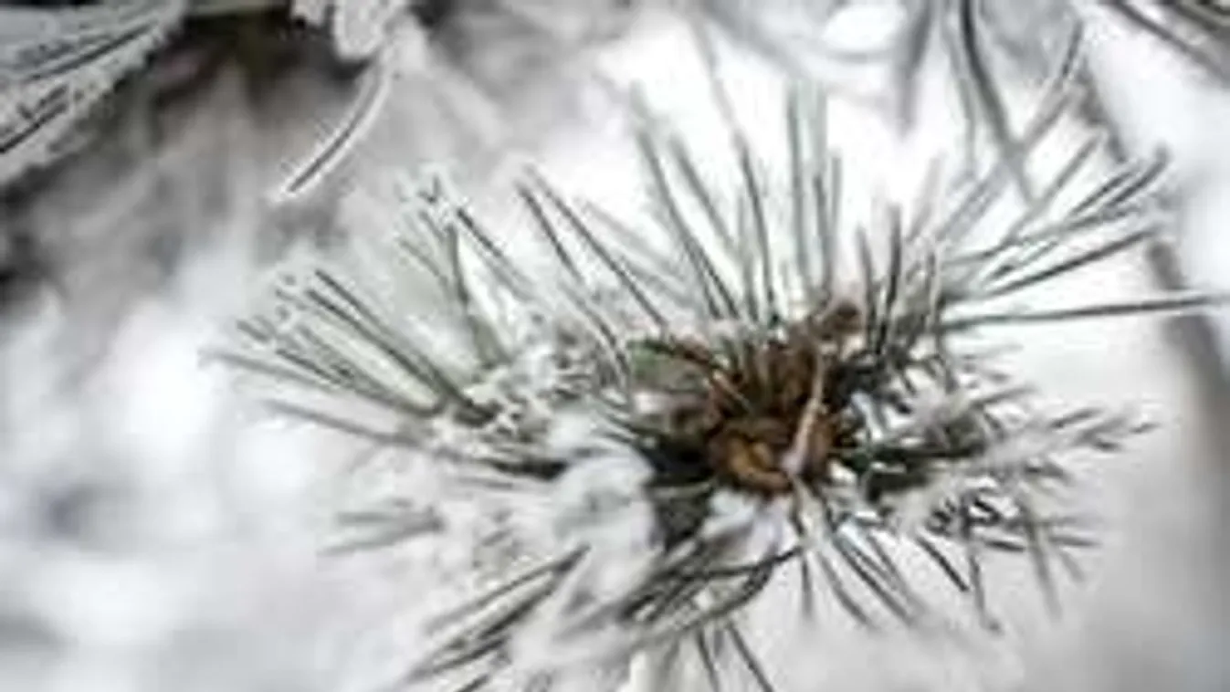 Ez már végleges: esni fog a hó, de kiadták a vészjelzést!