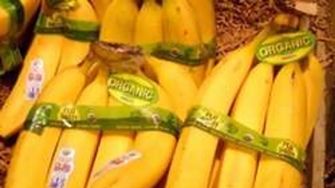 Ezt a 10 ételt edd, és lapos lesz a hasad!