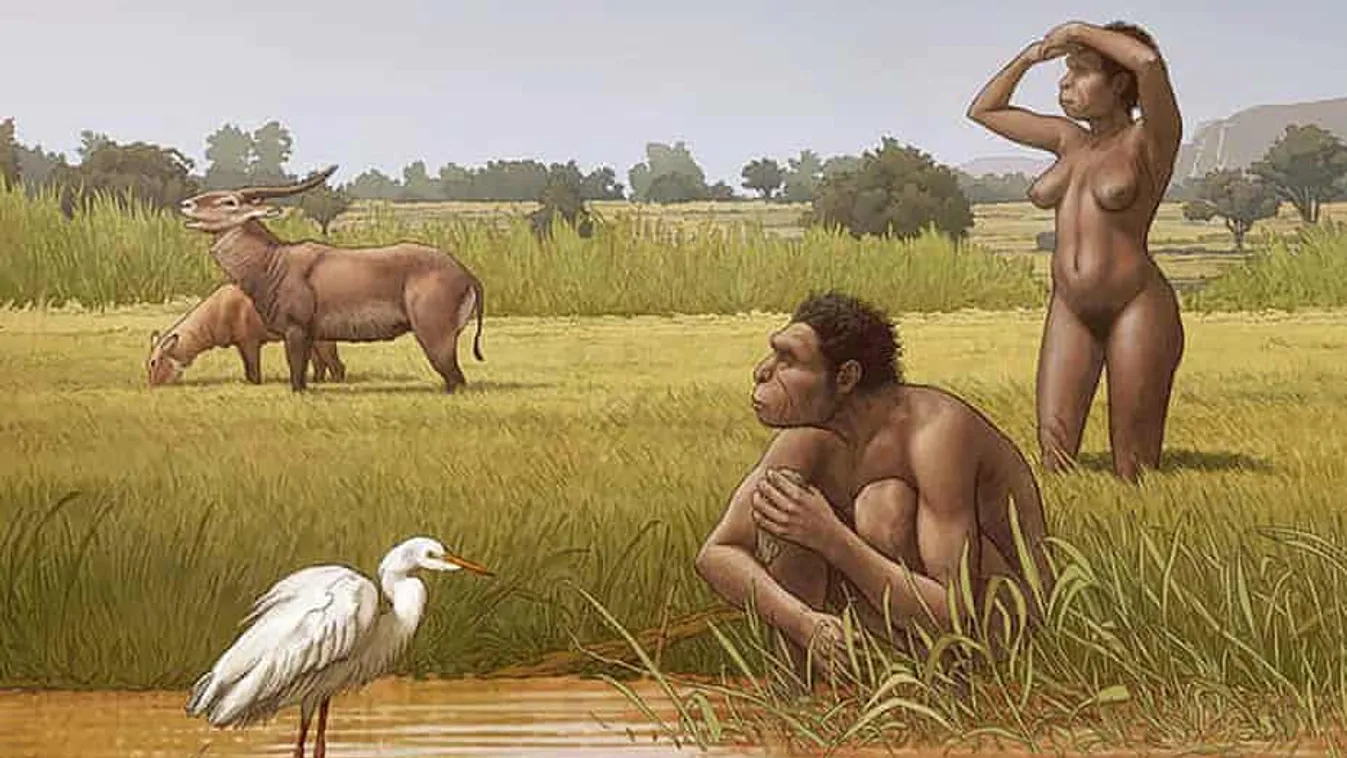 Felfedezték az emberi faj közvetlen ősét Afrikában, a homo bodoensis nevet kapta
