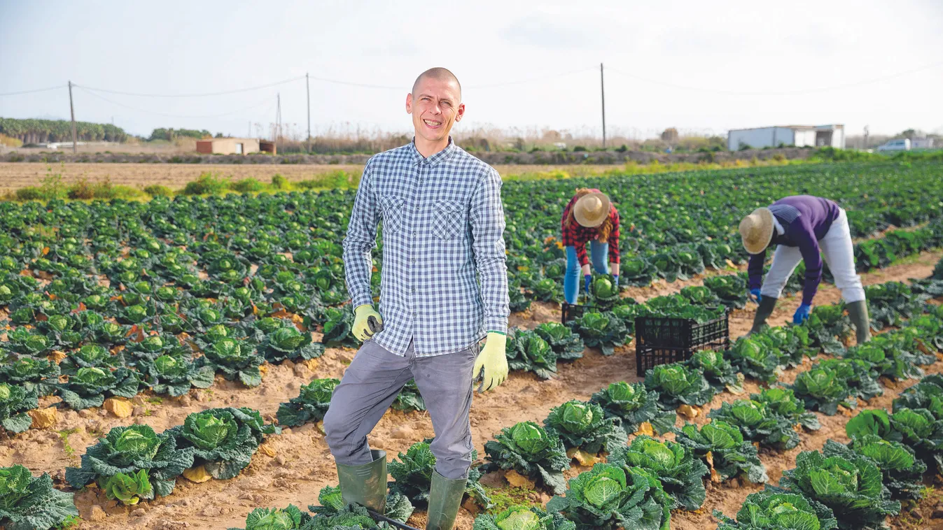 Portrait,Of,Man,Farmer,In,Gloves,Standing,In,Farm,Field
