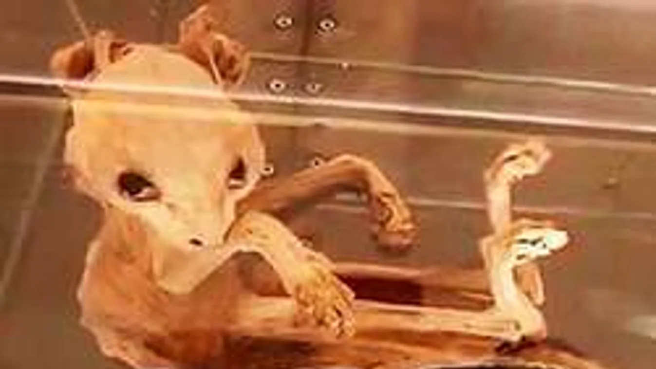 Bizarr mutáns múmiát találtak Törökország szívében