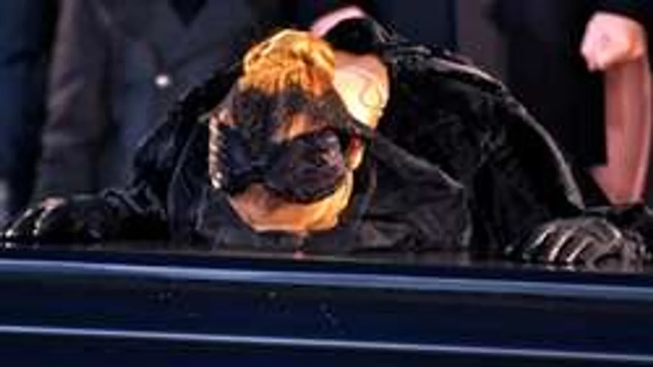 A búcsúzás végső pillanatai. Celine Dion ráomlott férje koporsójára - fotó