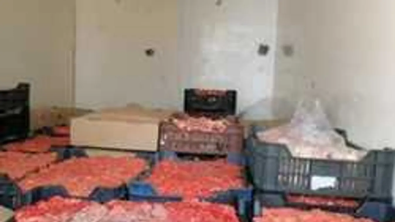 Ezt meg akarták etetni velünk? Másfél tonna romlott húst találtak