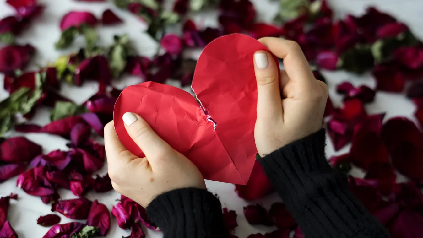 Broken,Heart,Sadness,Frustration,Flower,Leafs