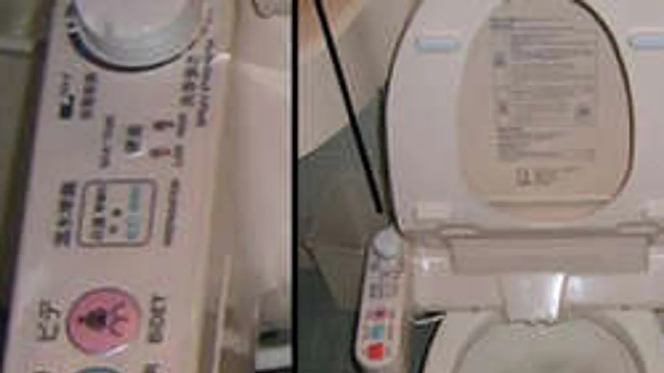 Emberi állkapocs a mosdóban!