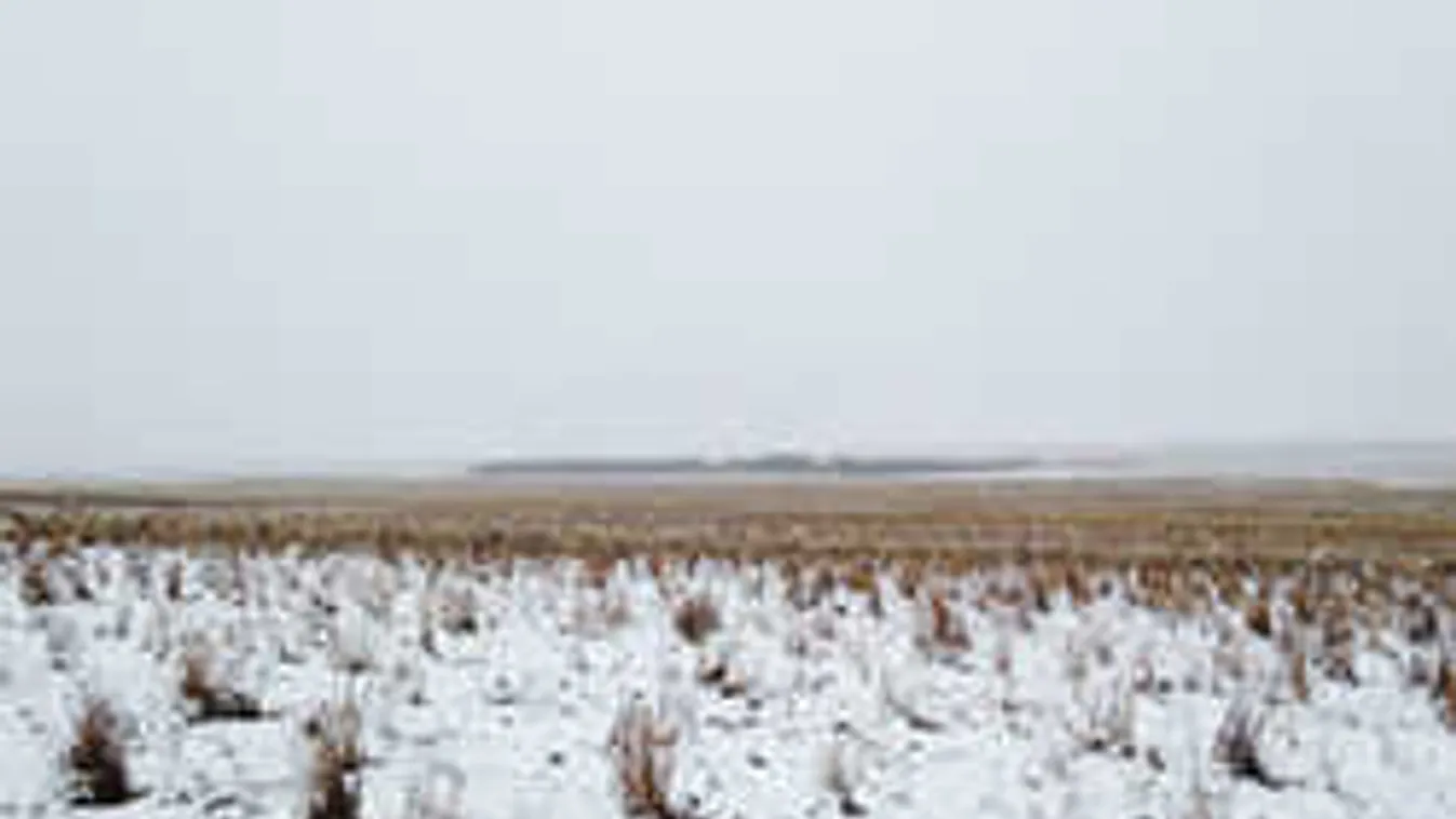 Rápörgött a net erre a fotóra, de senki nem tudja a megfejtést! Te rájössz?