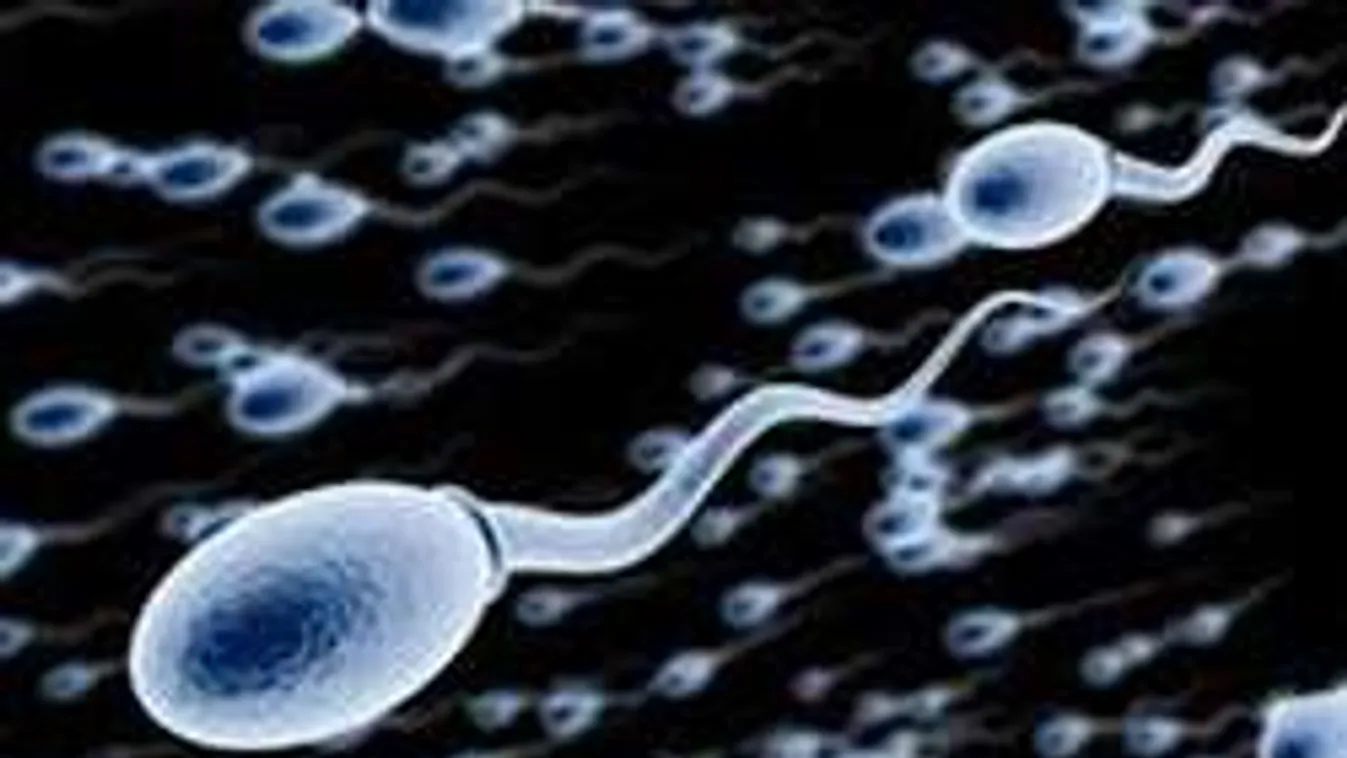 Illegálisan importáltak spermát Magyarországra!