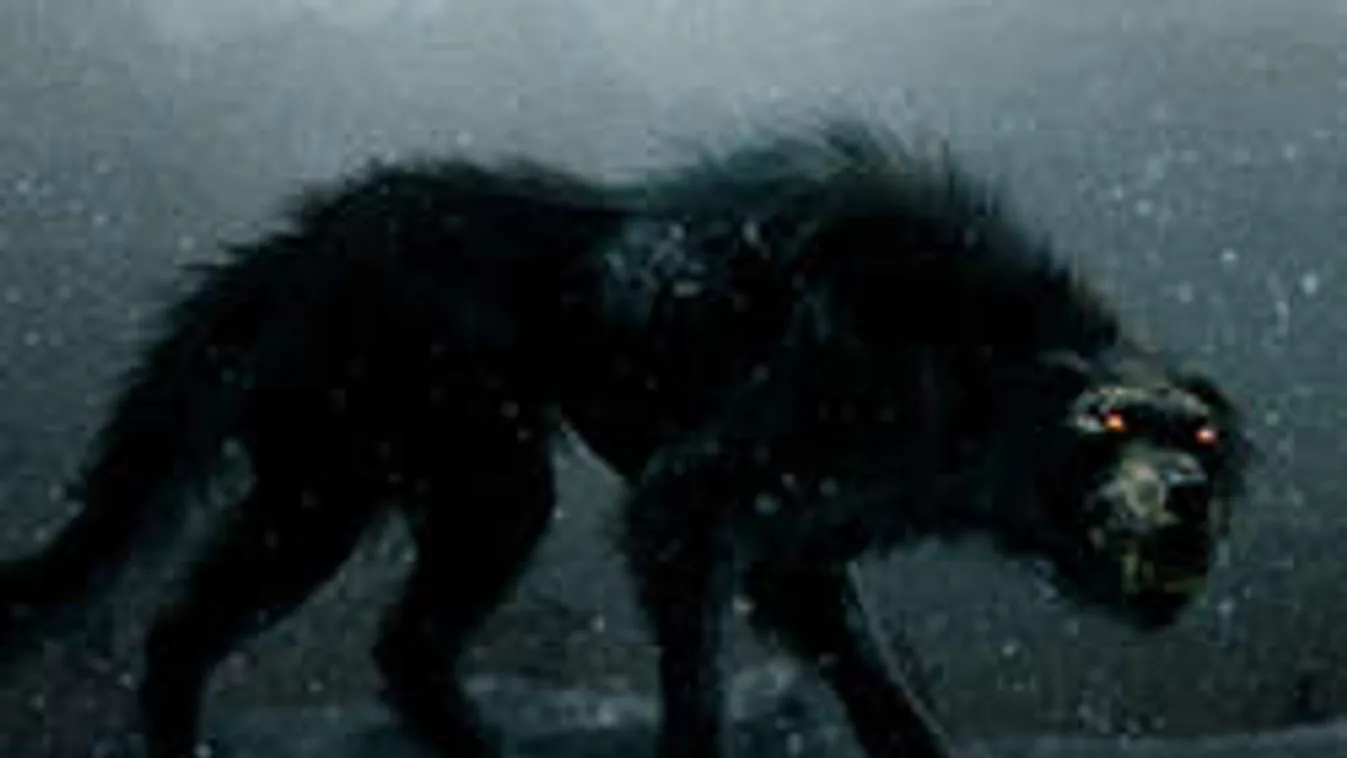 Régészek megtalálták a pokol fekete kutyájának csontjait?