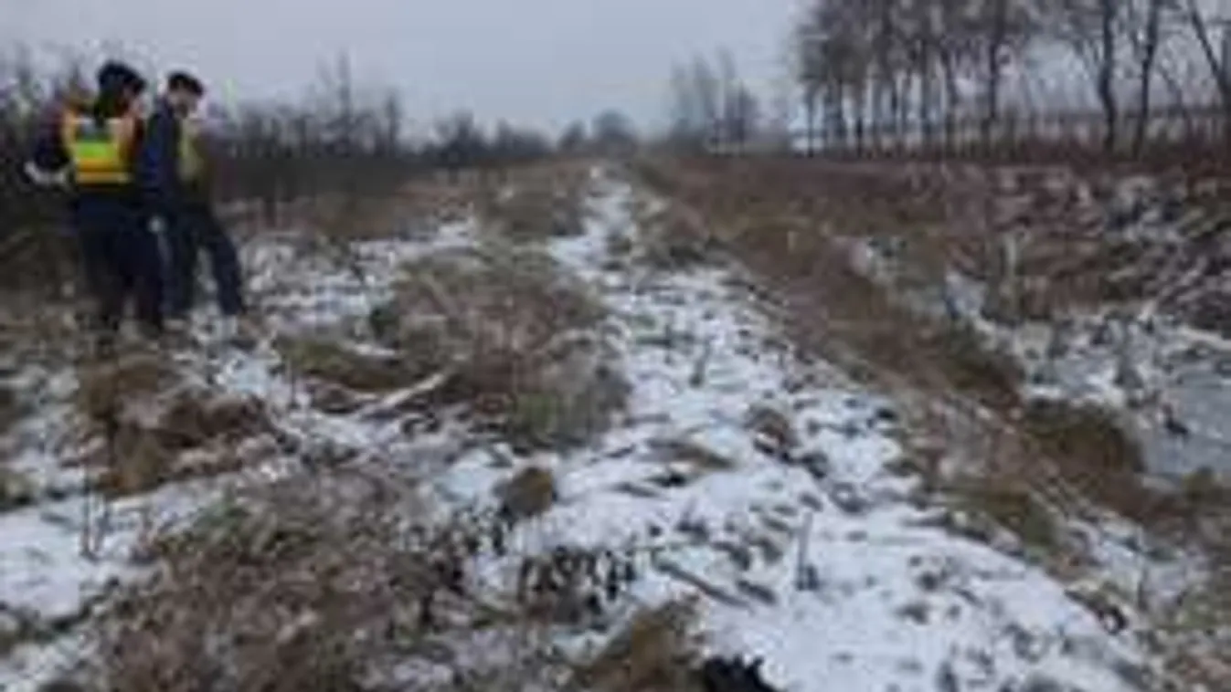 Három kutya harapdált össze egy férfit