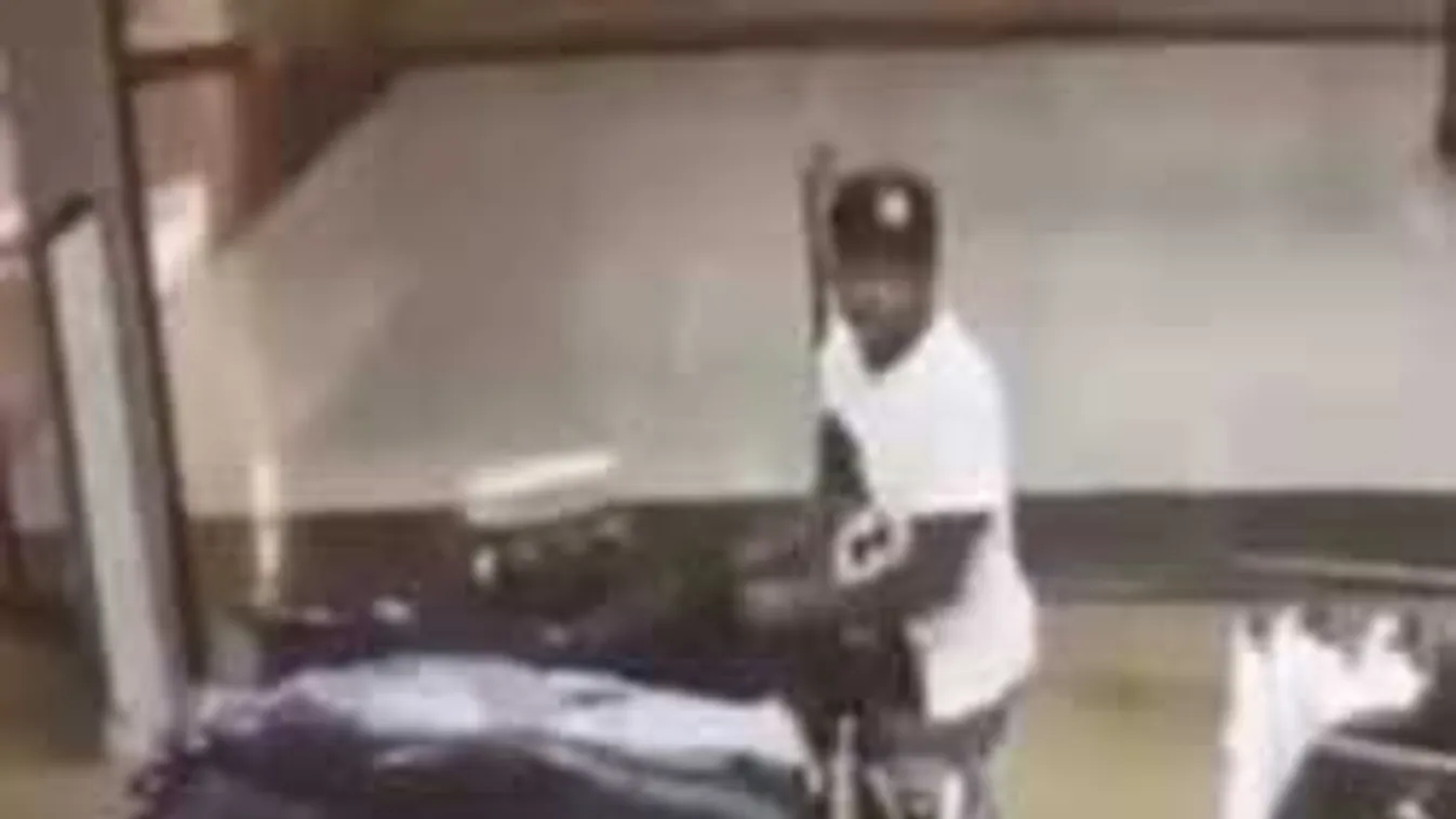 A világ egyik legpofátlanabb tolvaját vették kamerára! - videó