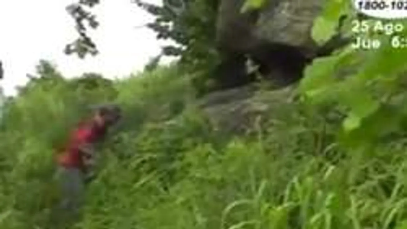 Sokkot kaptott a falusi család, amikor kiderült, hová tűnt a gyerekük