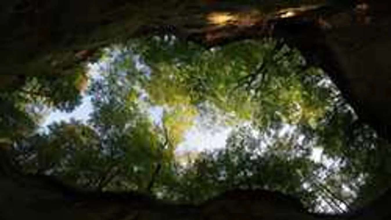 Iszonyat, mit találtak a gödör mélyén - erre senki sem számított