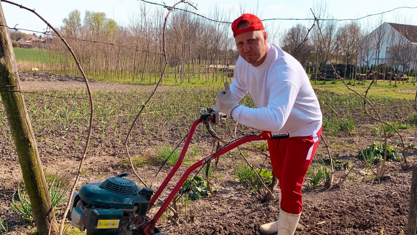 A Balatonra költöztek a koronavírus elől a magyar sztárok