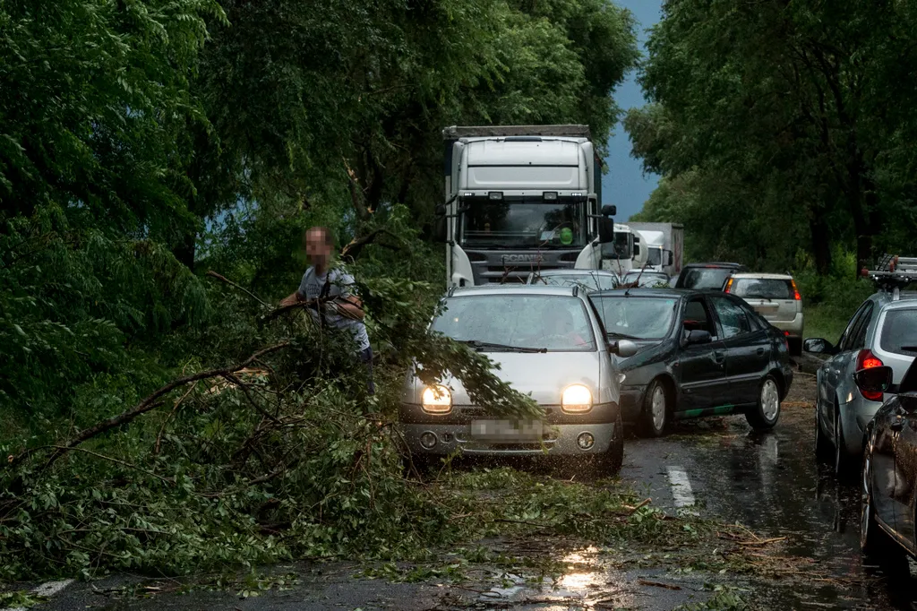 Vihar  Útra dõlt fák és letört ágak Bócsa határában