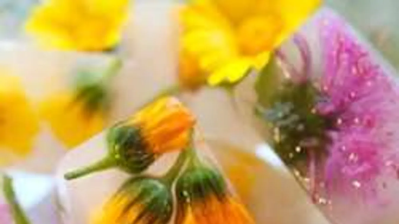 Elképesztő jégkockatrükk!