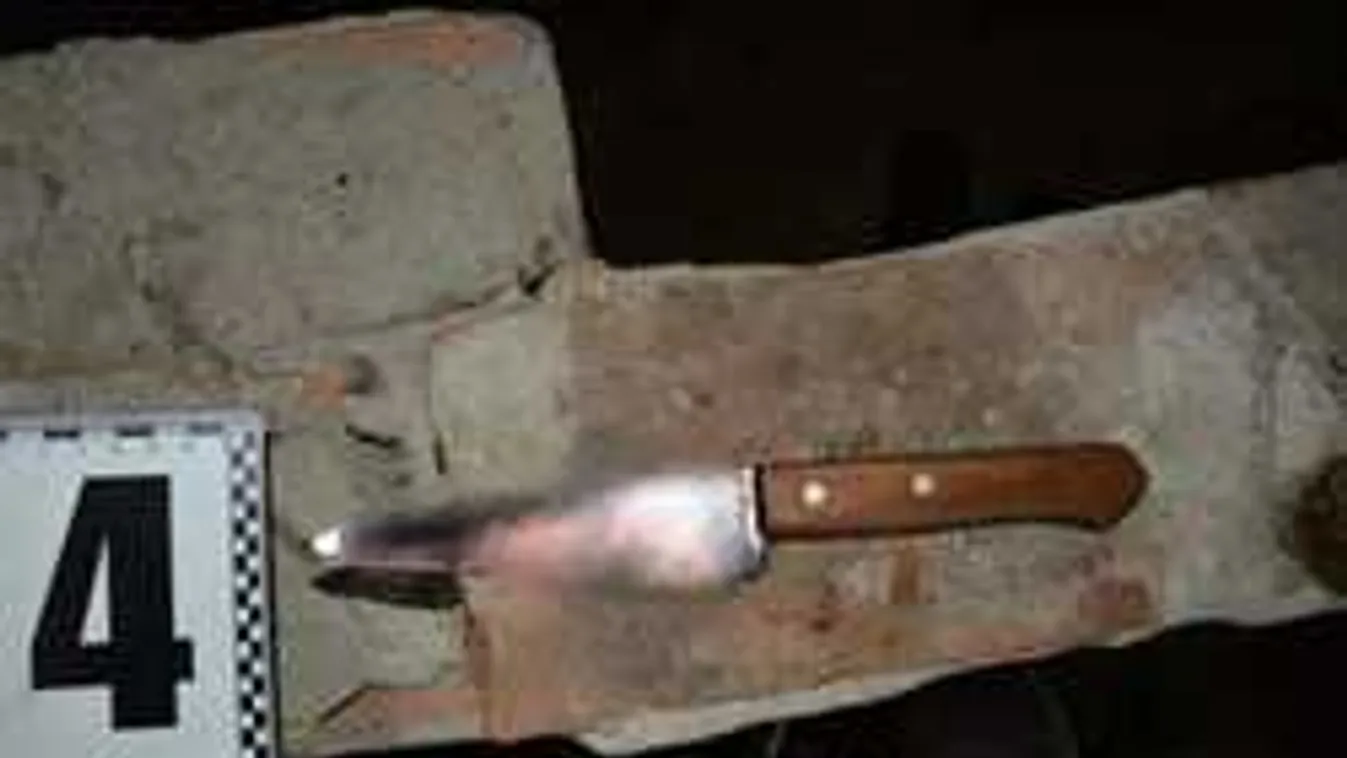 Hátborzongató részletek: Így végezte ki fia Natáliát