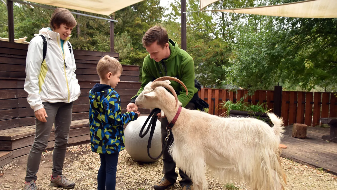 Elképesztő, milyen bemutató lesz vasárnap a Budakeszi Vadasparkban