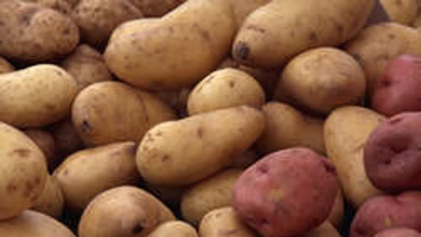 Ehetetlen krumplival verik át a szélhámosok a vásárlókat!