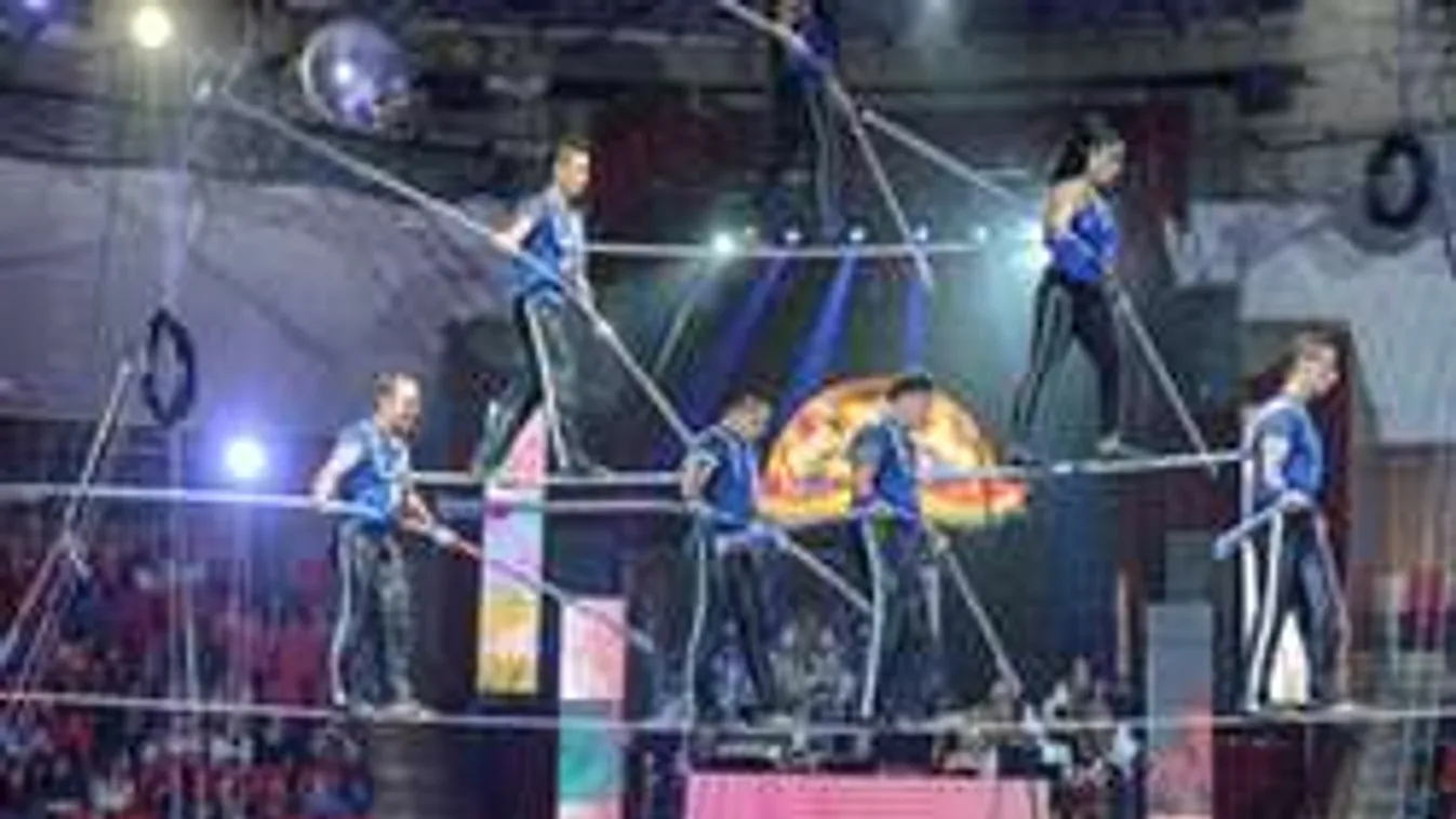 Tragikus: ez a fiatal artista törte darabokra a lábát