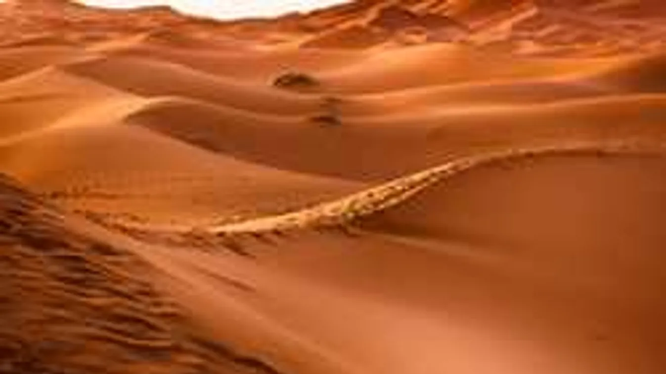 Rettenetes látvány, megrendítő, mire bukkantak a sivatagban