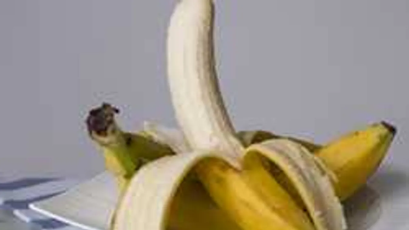 Halálos riadalom az irodában: félelmetes, mi lapult az ebéd mellett