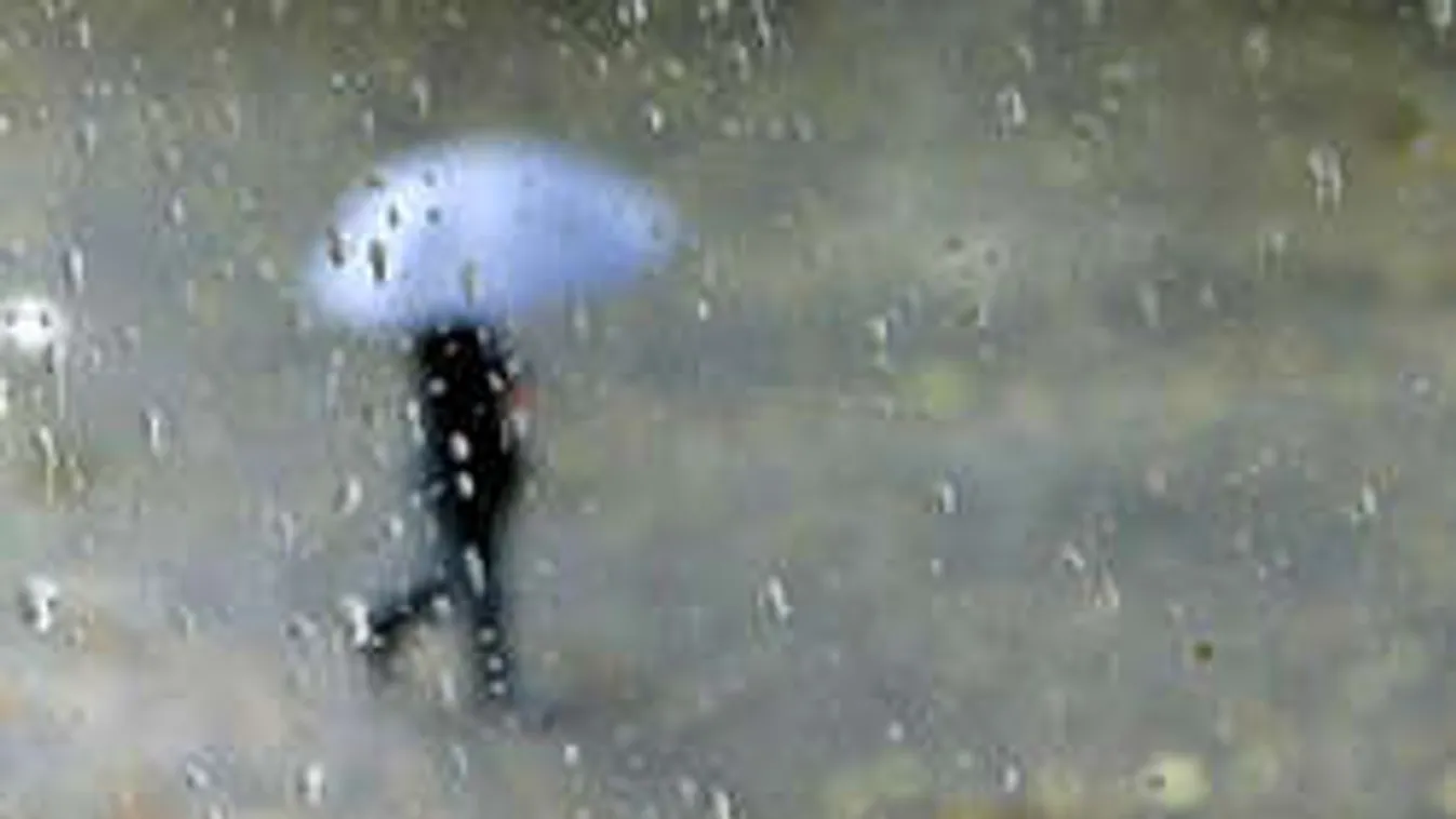 Durva tréfát űz velünk a február, erre mi sem számítottunk!