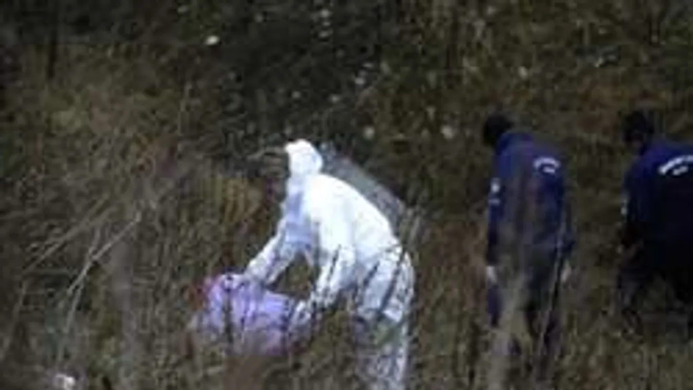 Szex közben ölte meg a nőt az igazgató, kidobta a holttestét