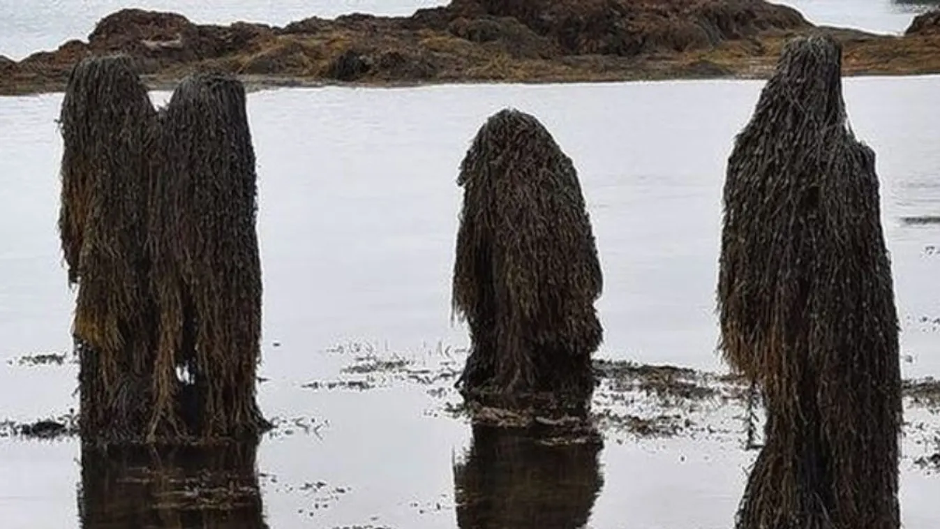 Sokkot kaptak a szemtanúk: földönkívülieket fotóztak a sekély vízben állva