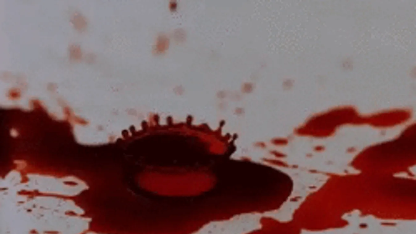 A rendőrök is rosszul lettek: emberi testrészeket árultak Mexikóban