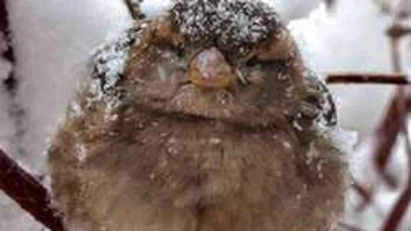 Itt kezdődik rövidesen a nagy havazás!