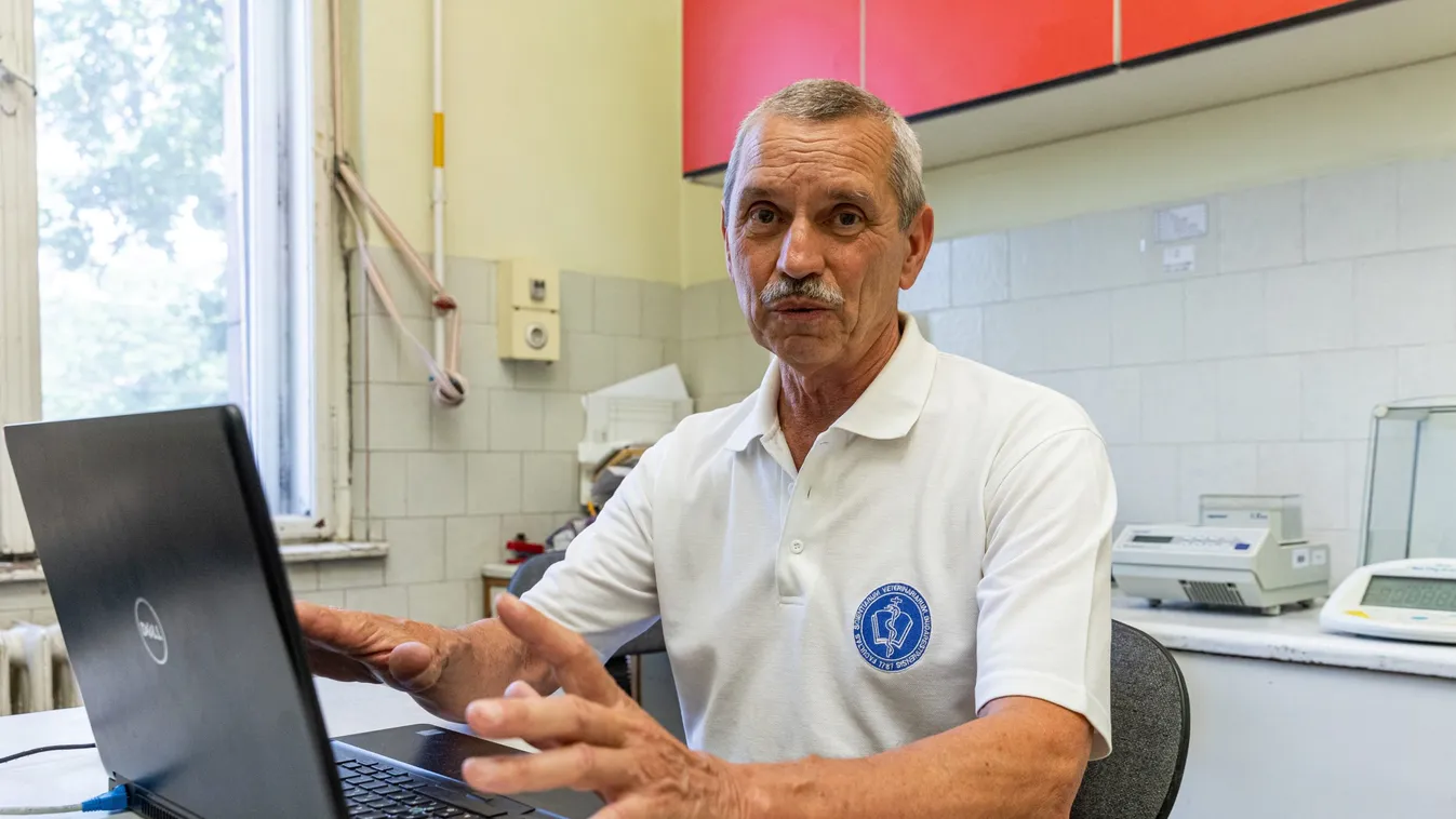 Rusvai Miklós tisztázza: hányszor kaphatjuk el a Covidot és milyen időközönként