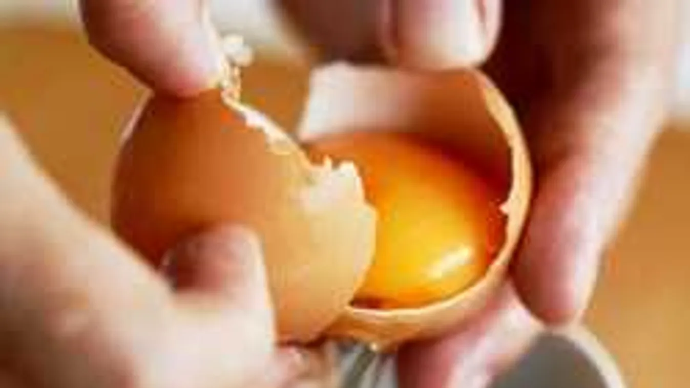 Újabb magyar tojásban találtak idegmérget: mutatjuk az azonosítóját