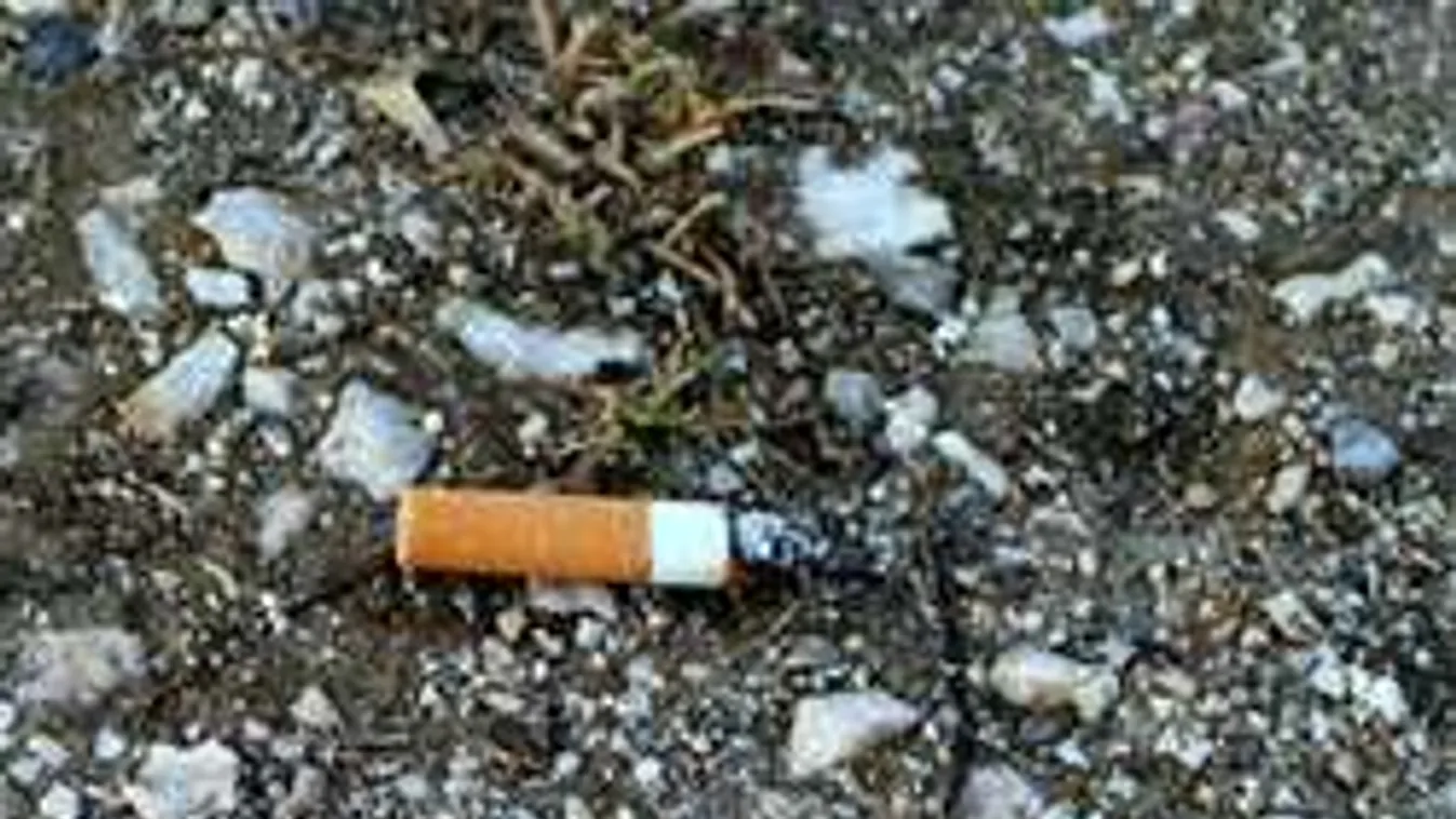 Cigarettacsikk leplezheti le a Népligetben talált nő gyilkosát