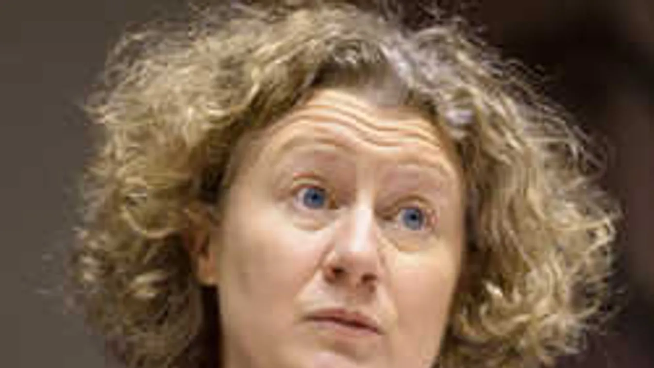 Sargentini az Origo munkatársaira támadt