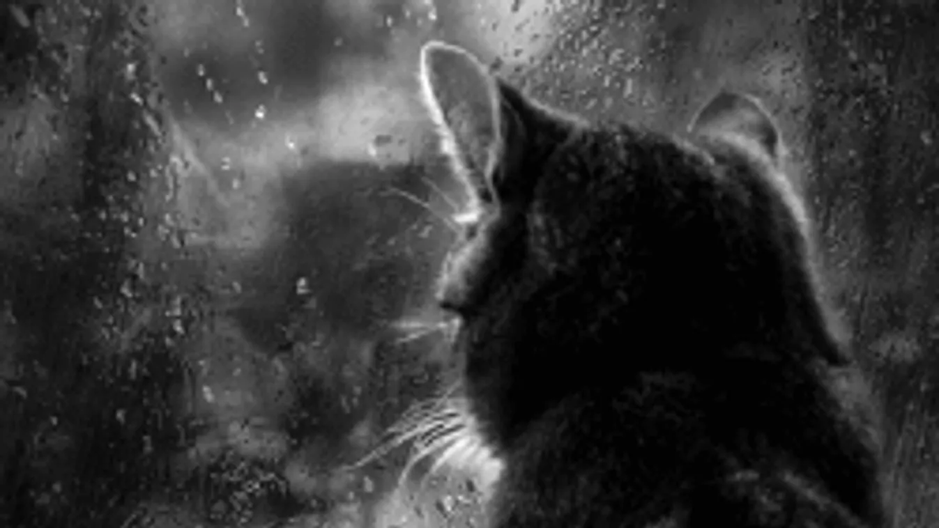 Egyre jobban bekeményít az időjárás, itt kell nagyon vigyázni