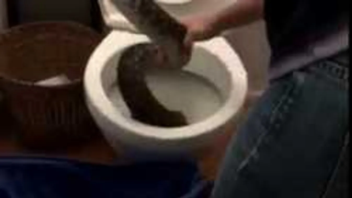 Sokkot kapott a család, amikor meglátták, mi van a fürdőszobájukban