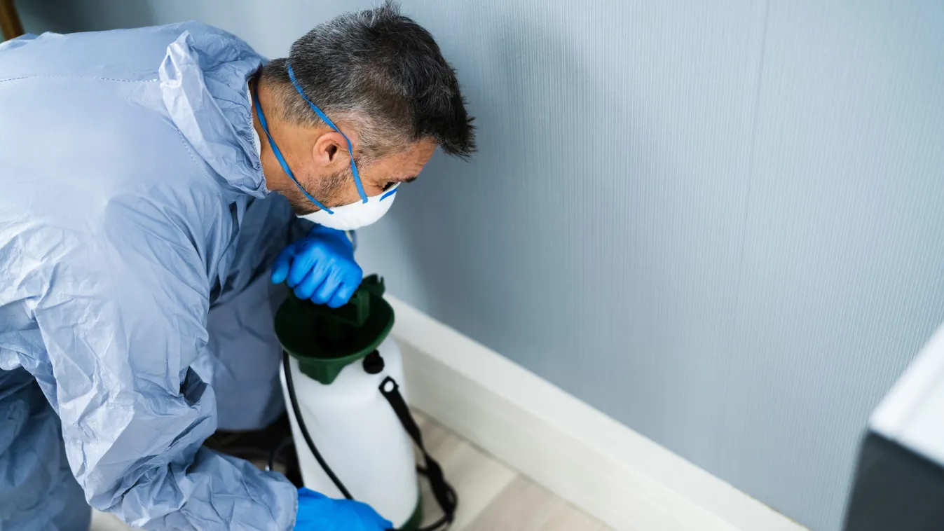 Pest,Control,Exterminator,Man,Spraying,Termite,Pesticide,In,Office