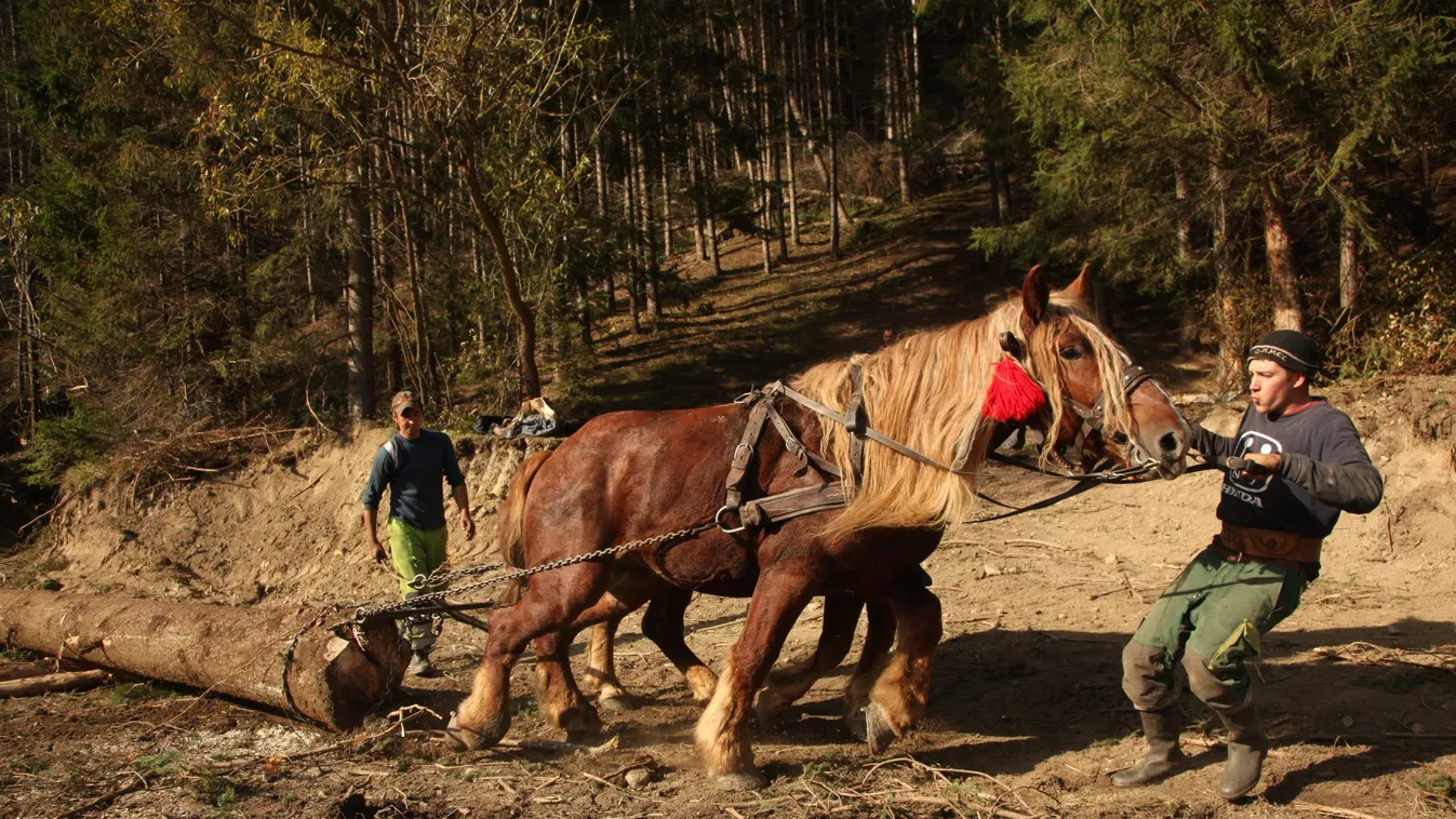 Megelevenedik az ősi Székelyföld – bámulatos lenyomat készült