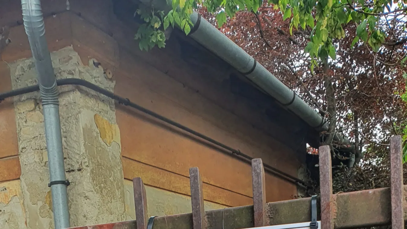 Végre nyugodtan alszik: Kamerákkal őrzik Szilágyi István özvegyét