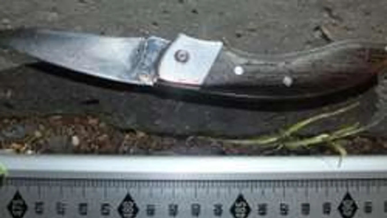 Meghökkentő vallomást tett a nyakon szúrt kőbányai férfi!