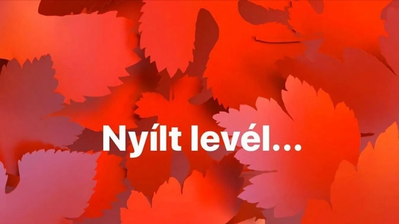 Különös tartalmú nyílt levet írt az egyik fővárosi vezető