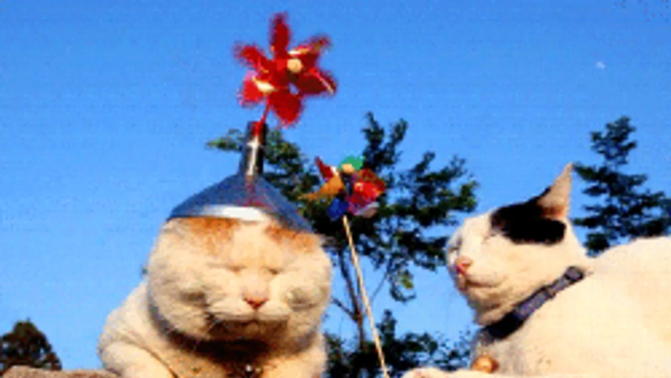 Ma eleinte fokozódik a hőség, de aztán jön a meglepetés