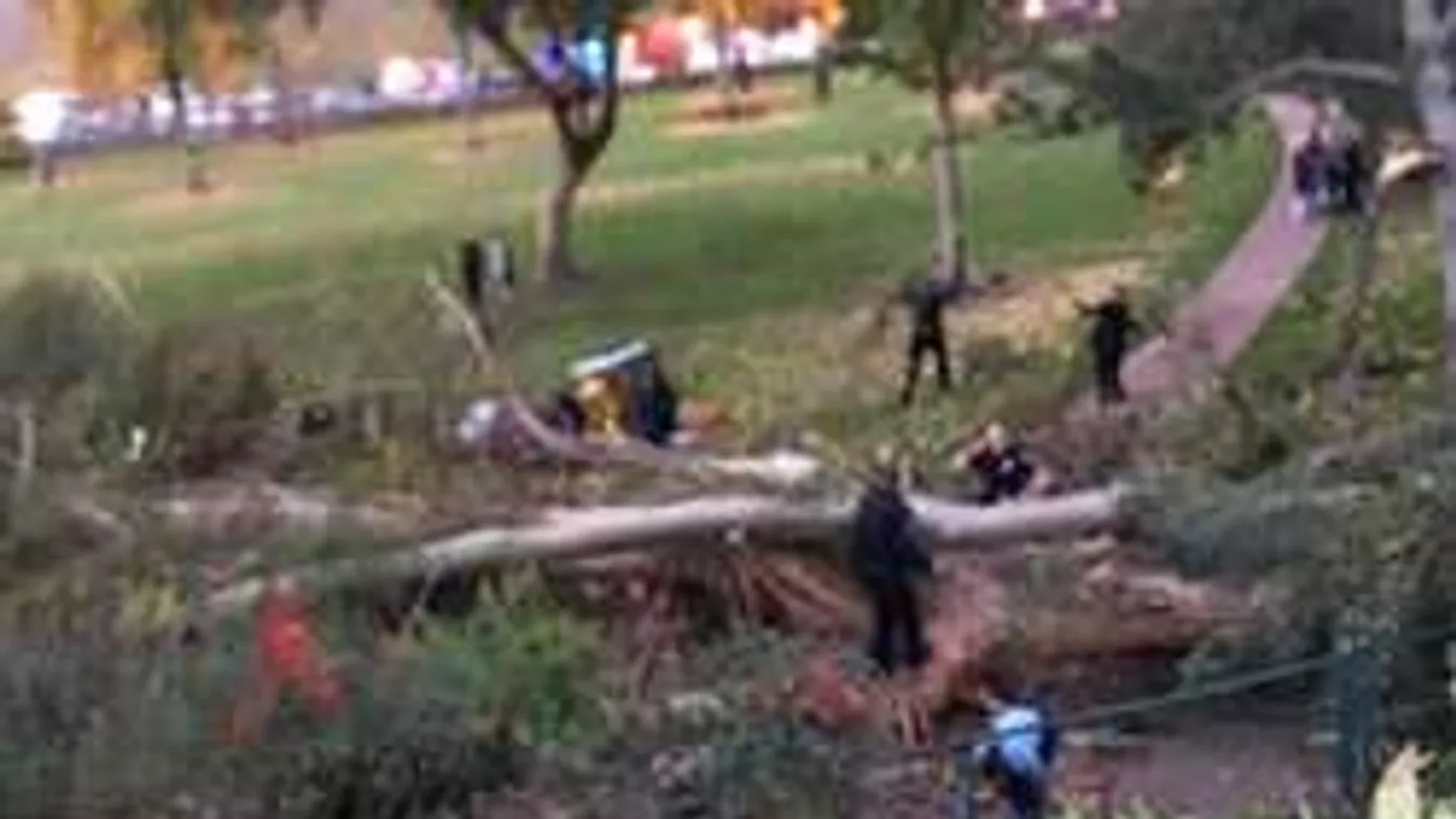 Hatalmas fa dőlt a lagziban bulizókra