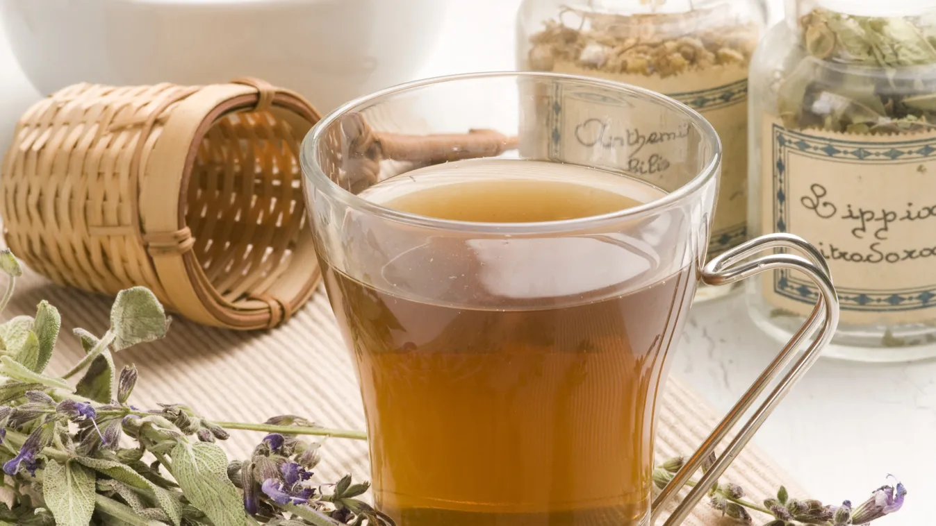 Herbal,Tea.lavender,Infusion,In,A,Glass,Cup.lavandula,Officinalis.naturopathy.selective,Focus.