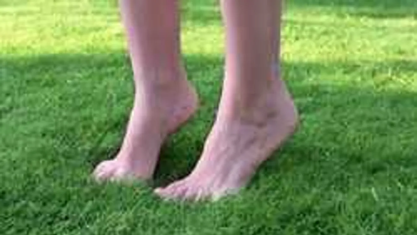 Elöntötte a kertedet a gaz? Így szabadulhatsz meg tőle