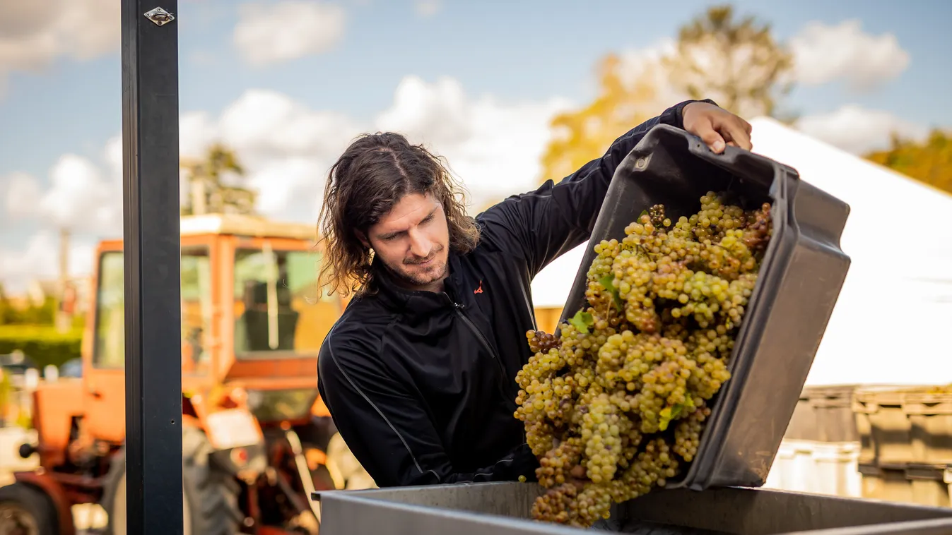 Nagy László új szerepben, megvan a hazai rendezésű Eb hivatalos bora
